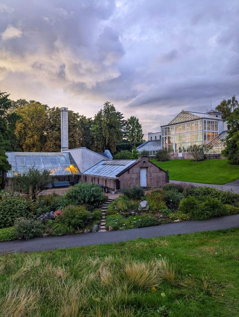 Lush green view of the Botanical Gardens in Oslo, Norway.
