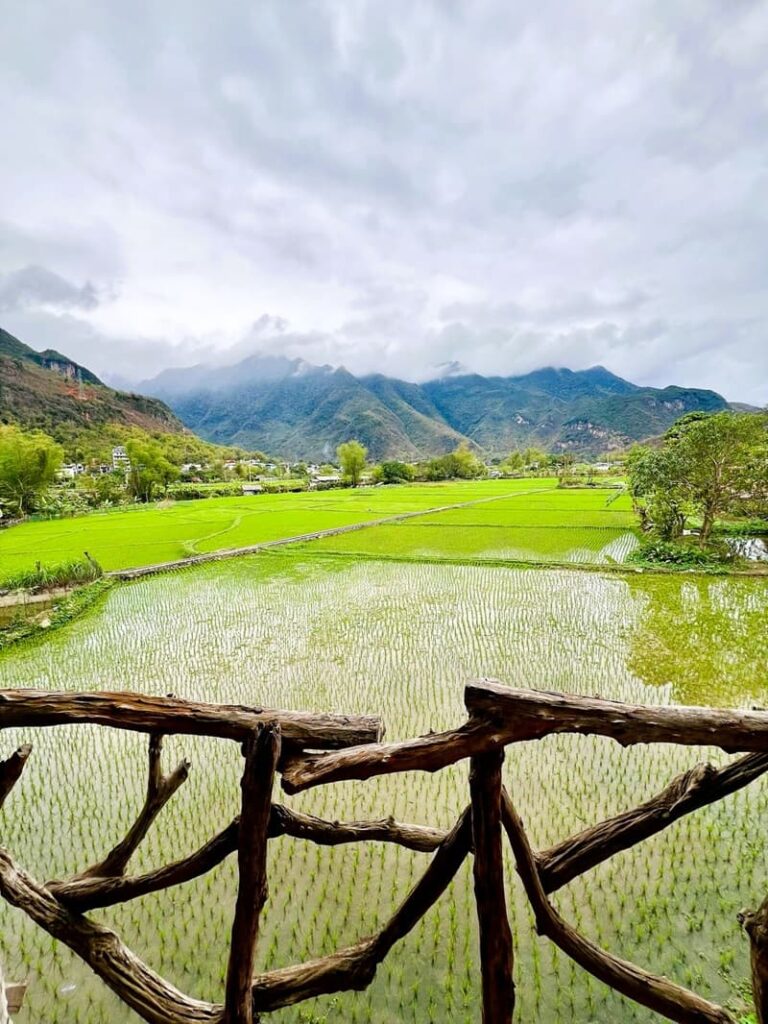 balcony views at mai chau countryside homestay showing rice fields and mountains