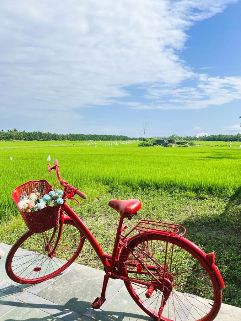 cycling in the rice fields mai chau