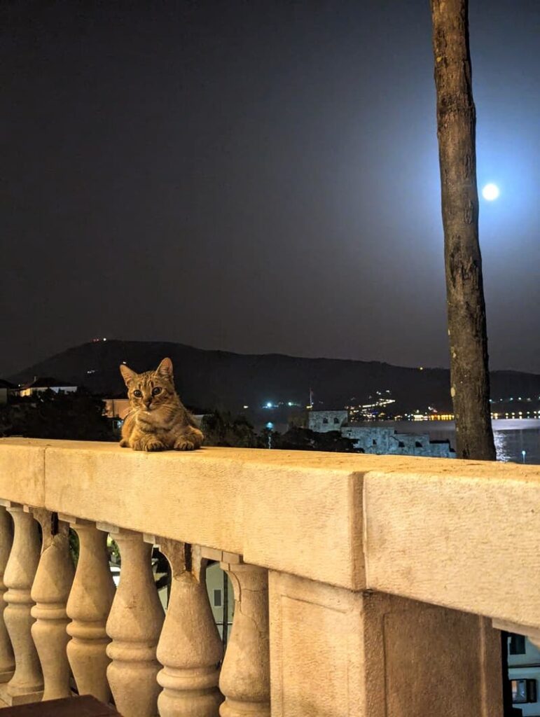 Night time view in Herceg Novi, Montenegro